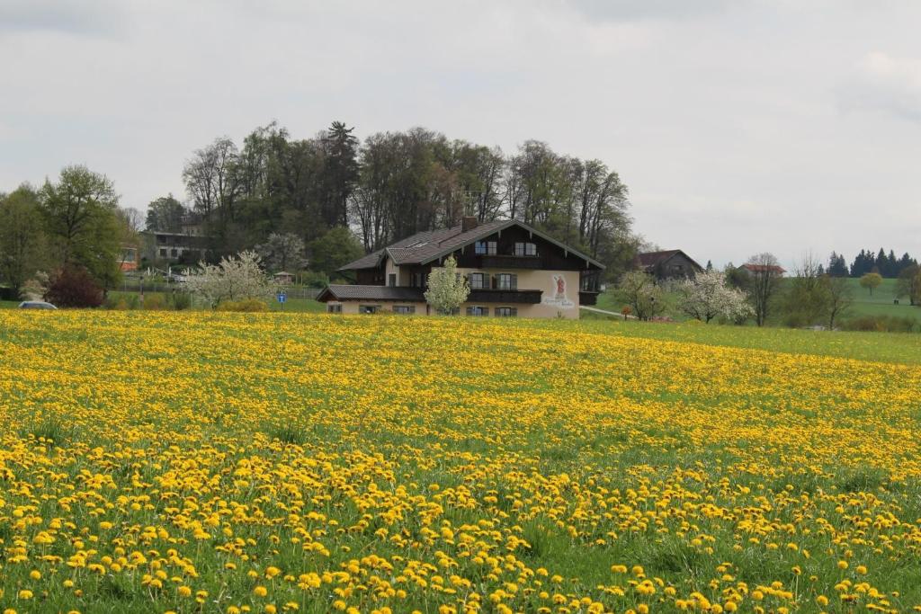 Kurparkpension Stephan photo 2