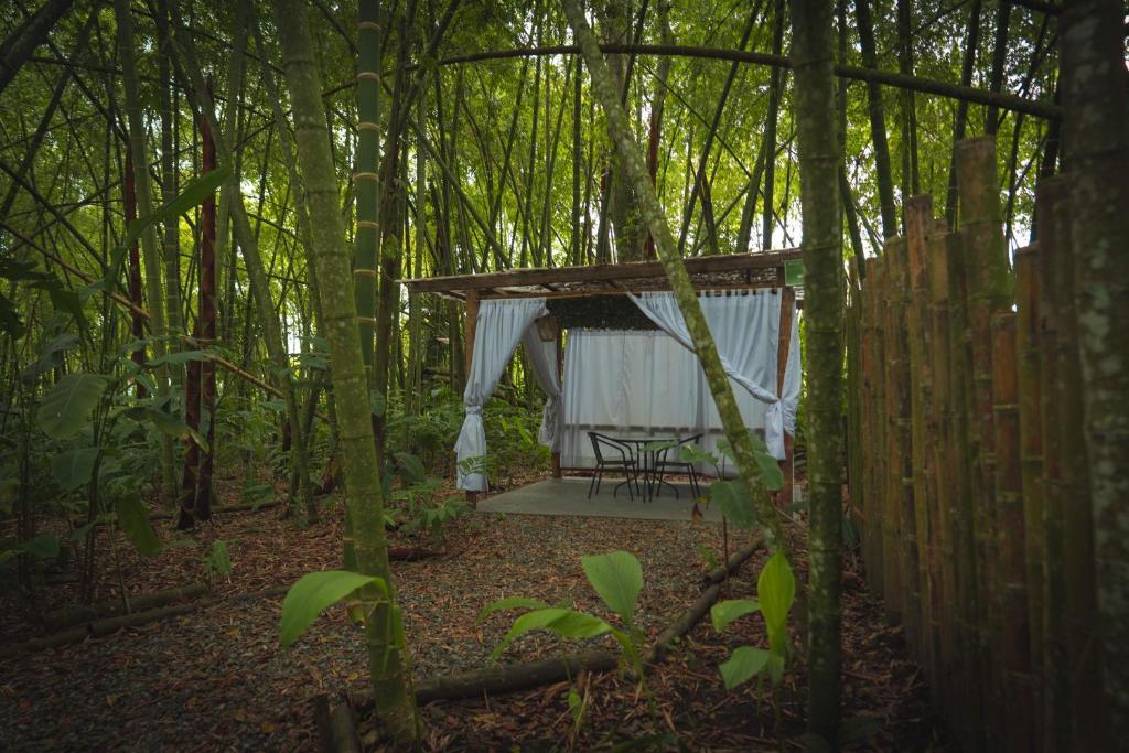 Amanatu Ecolodge & Spa photo 4