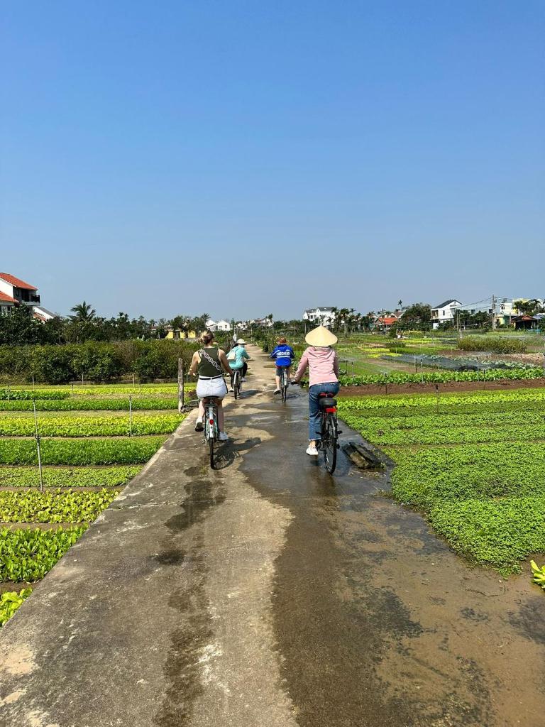Rau Que Villa Hoi An