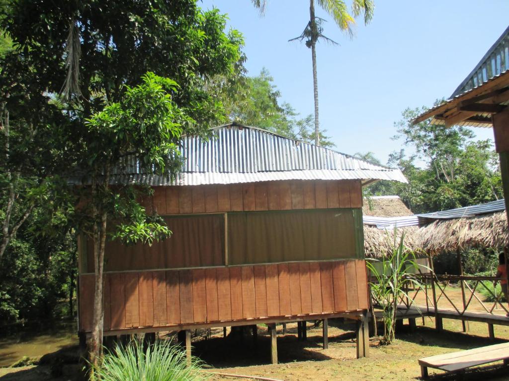 Jungle Explorer Lodge photo 4