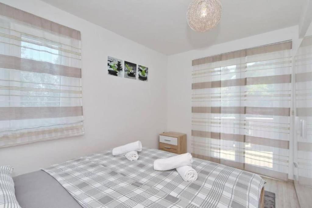 Modern House Giulia photo 3