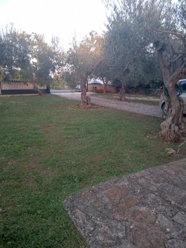Apartman Krčina photo 2
