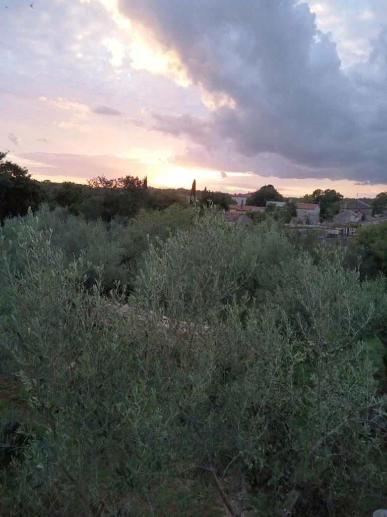 Apartman Krčina photo 4