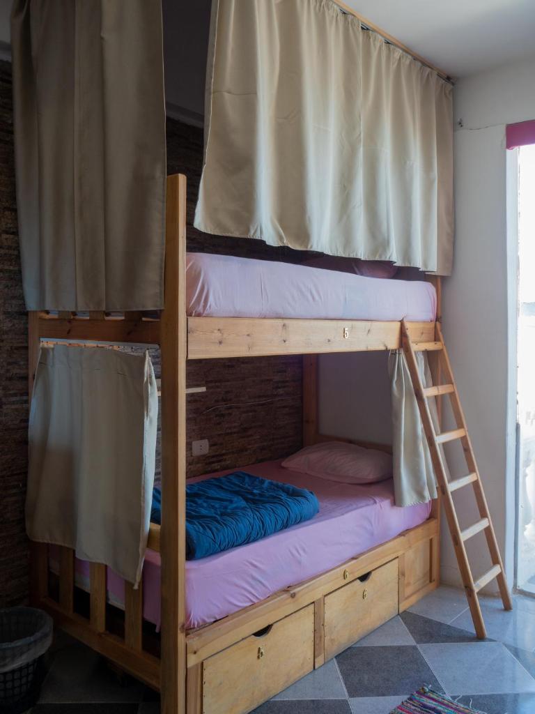 My Hostel in Dahab - Dive center Room Type - Bed in Male Dormitory Room