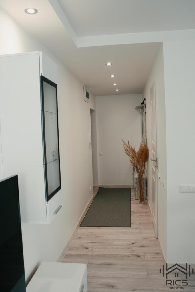 Rics Apartment photo 1