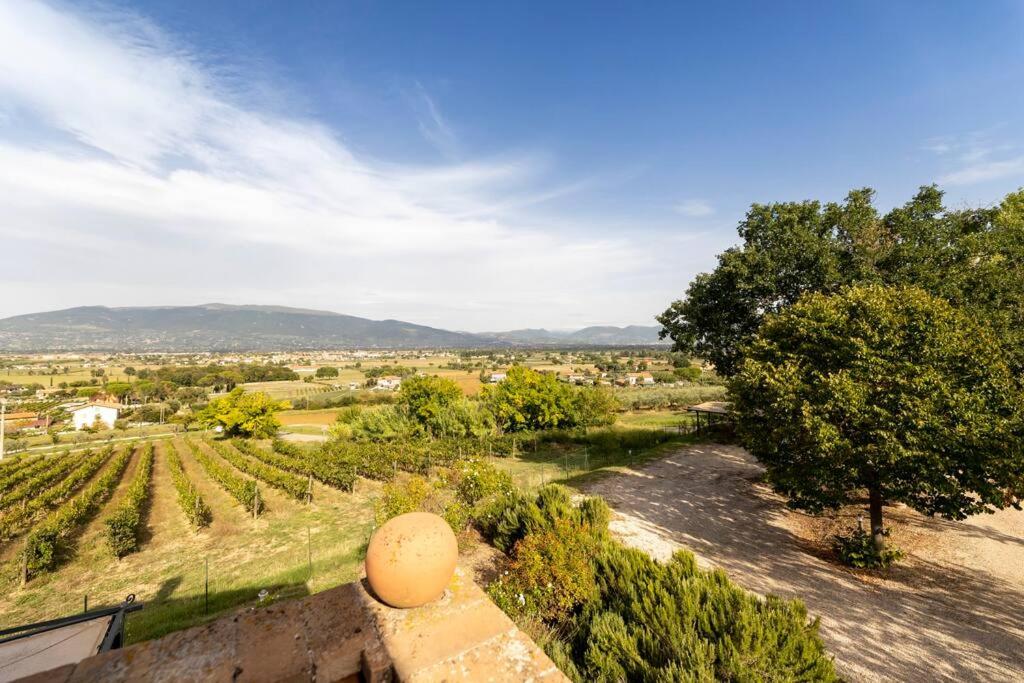 Villa Collemancio la soleggiata photo 4