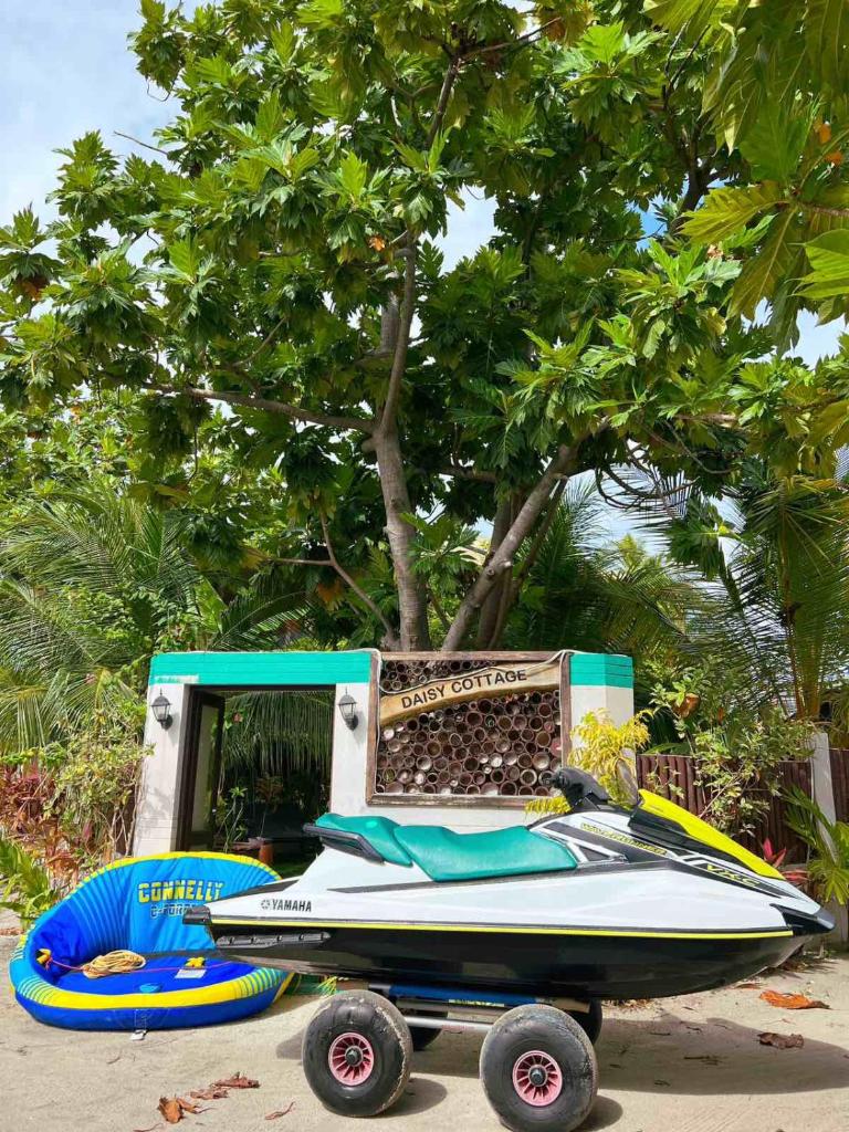 Daisy Cottage Dhangethi photo 3