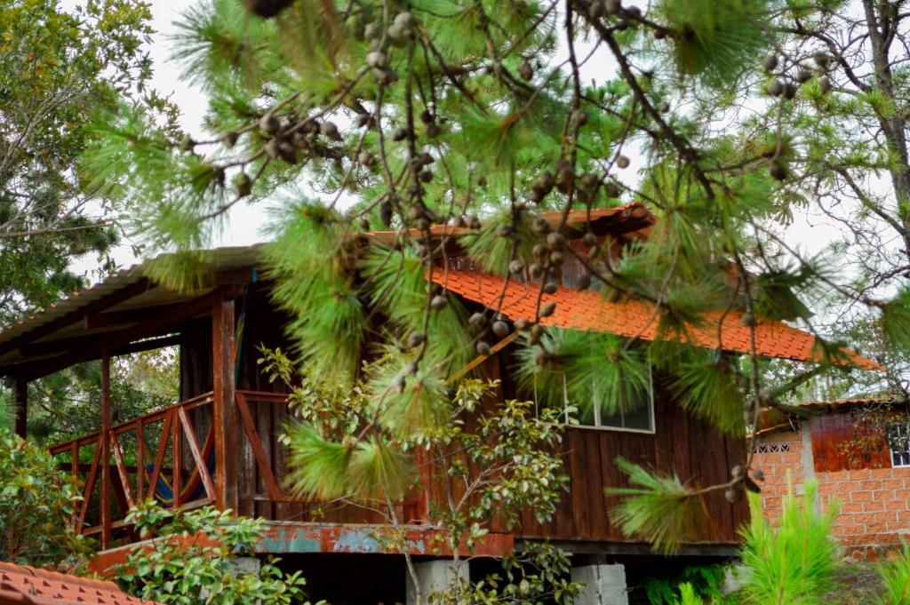 Hotel y Restaurante Las Margaritas photo 2