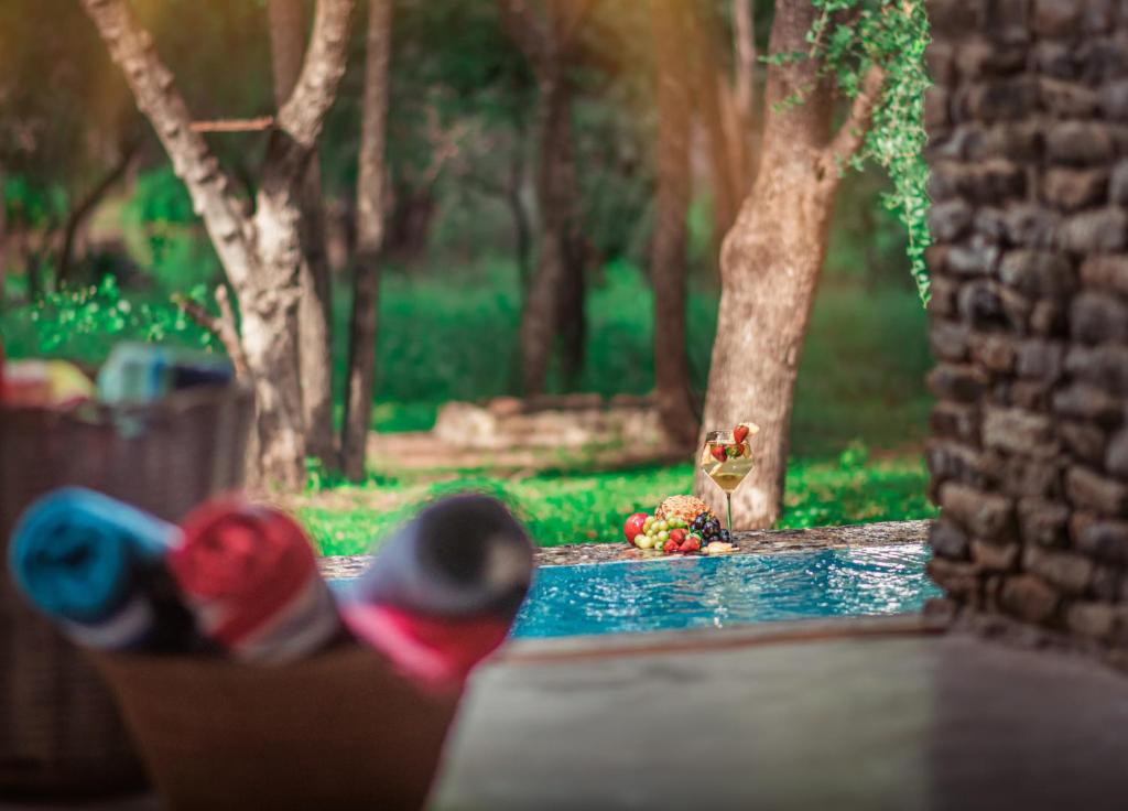 Dream of Africa Bush Lodge photo 4