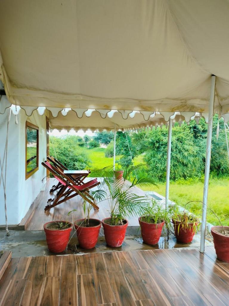Panthera Pardus Safari Lodge photo 1