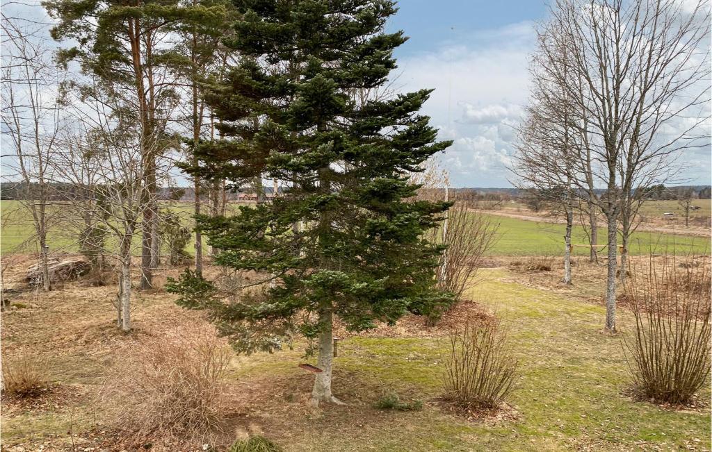 Amazing Home In Tjllmo With 2 Bedrooms photo 3