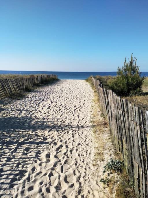 Au soleil, marcher vers la plage photo 2