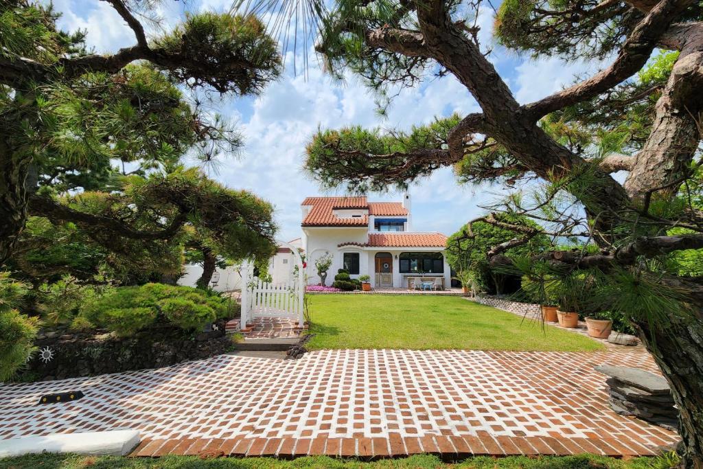 Palm Tree Villa photo 1