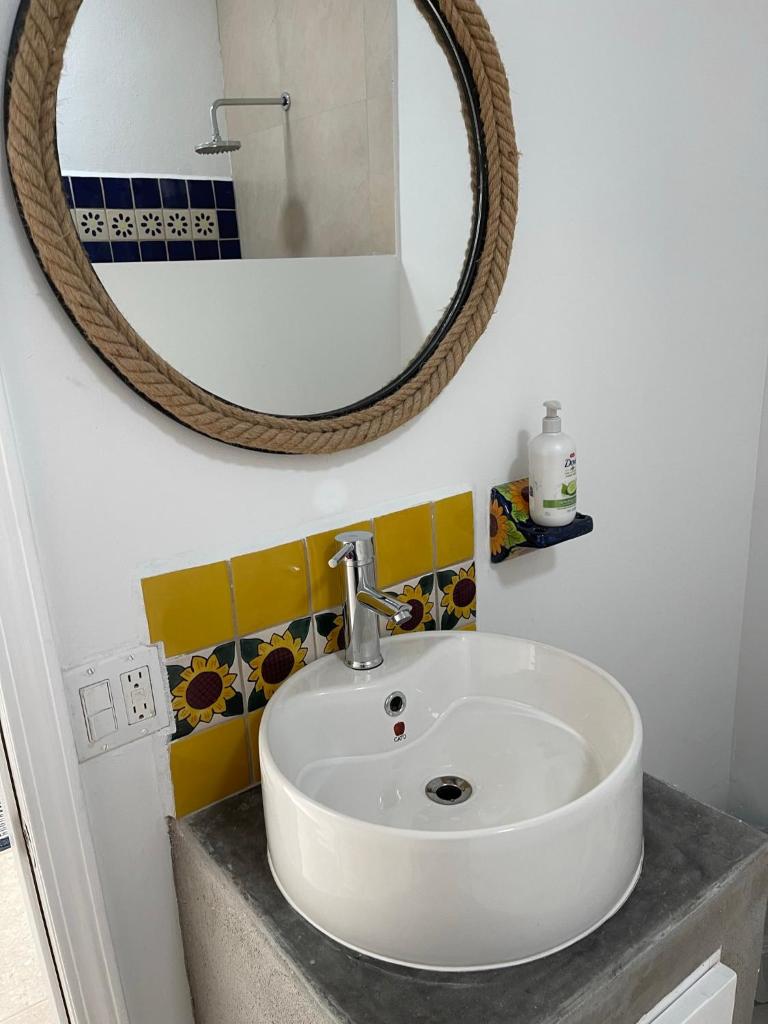 Jardin Del Mar Room Type - King Studio