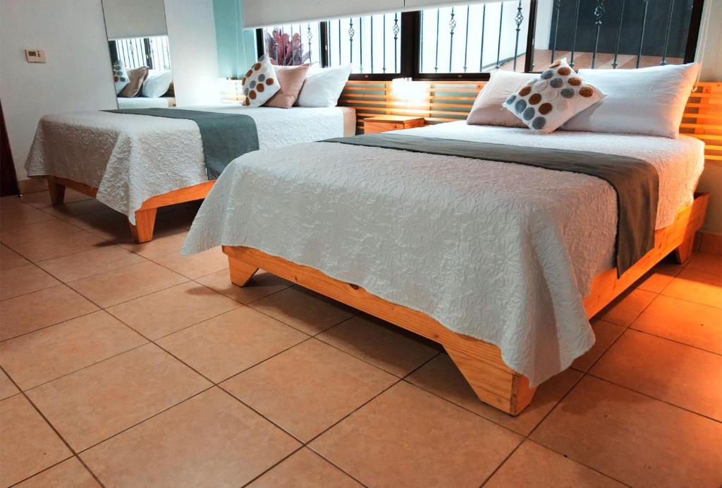 Trebol Amarillo Bed & Breakfast photo 1