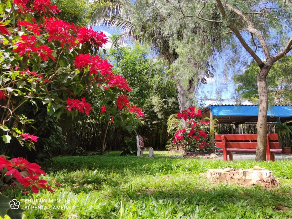 Mandala Camping - Oferecemos um espaço para sua barraca