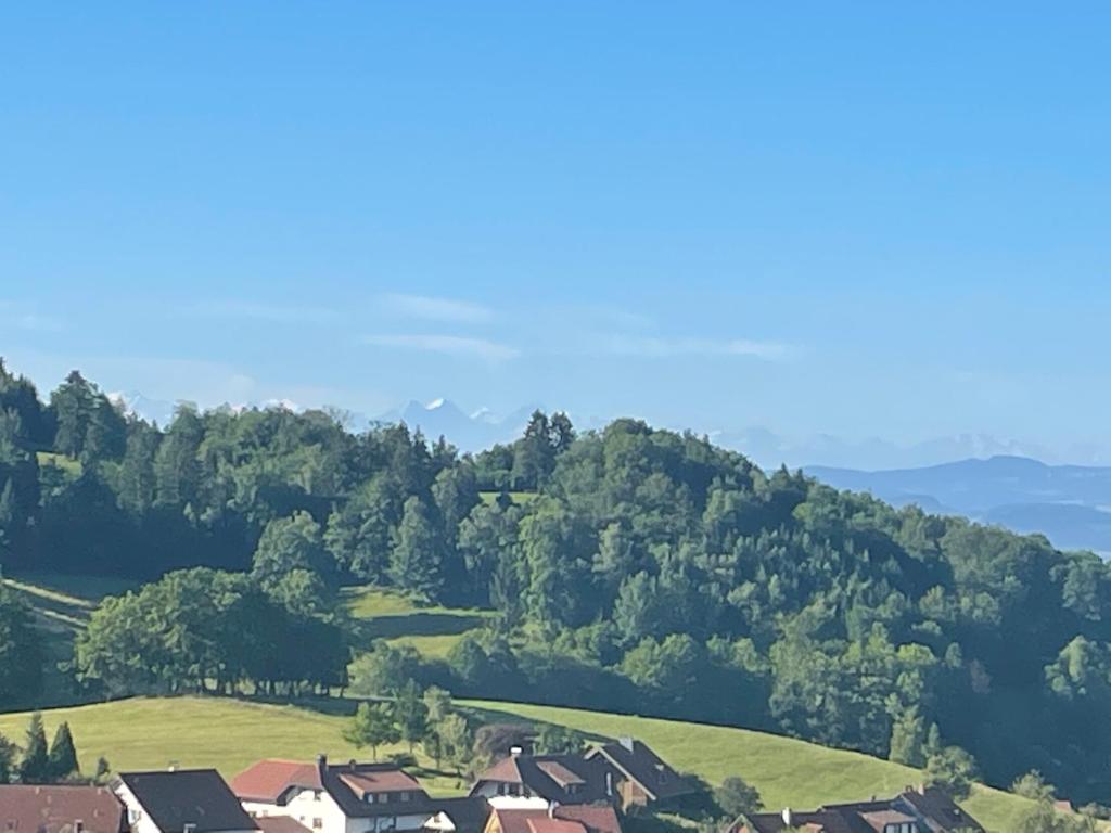 Blumenhof - ERHOLUNG PUR, traumhafte Aussicht photo 2