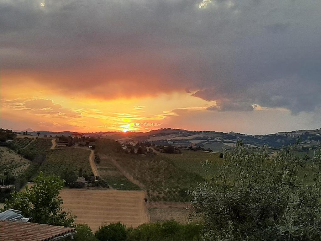 LA VOCE DELLA NATURA photo 4