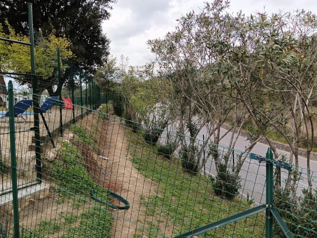 La casina fra gli olivi photo 1