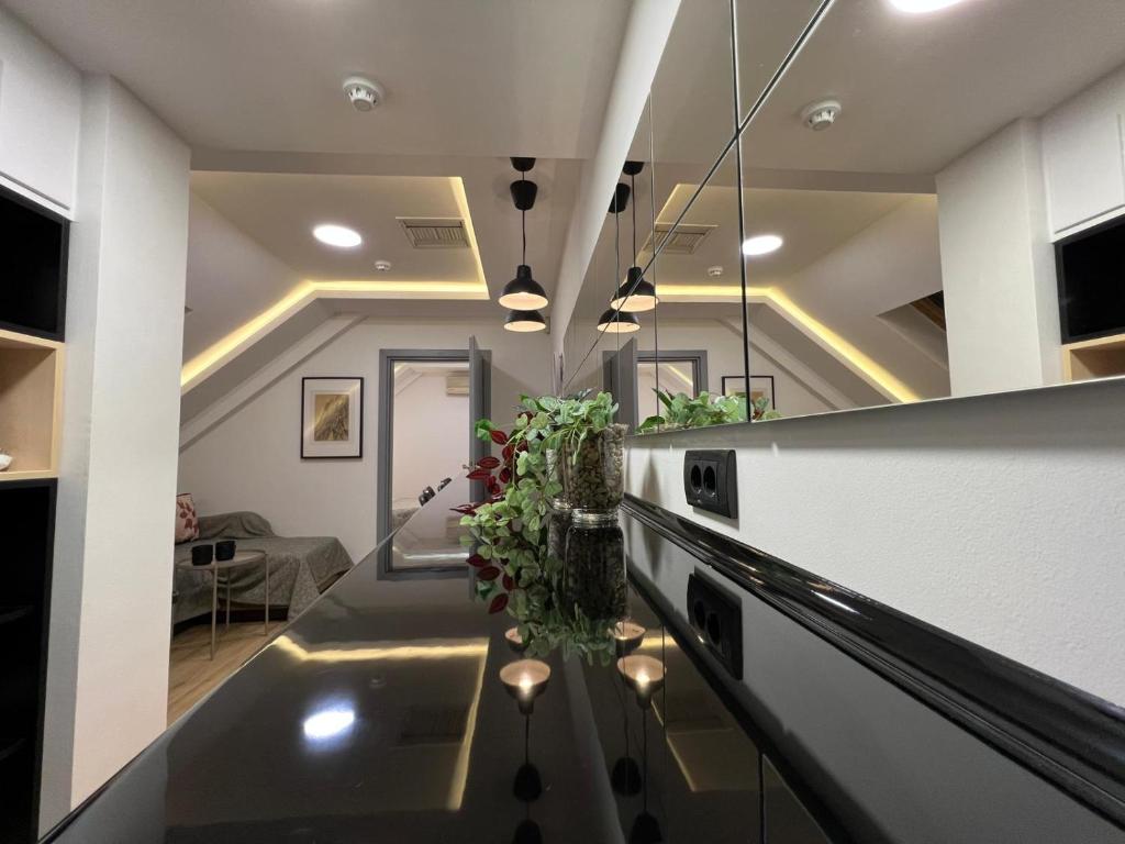 CITY CENTER APARTMENT newly renovated