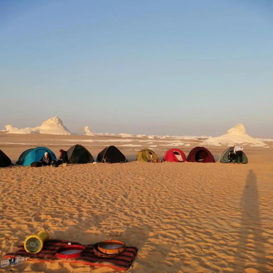 Egypt Desert Tours photo 4