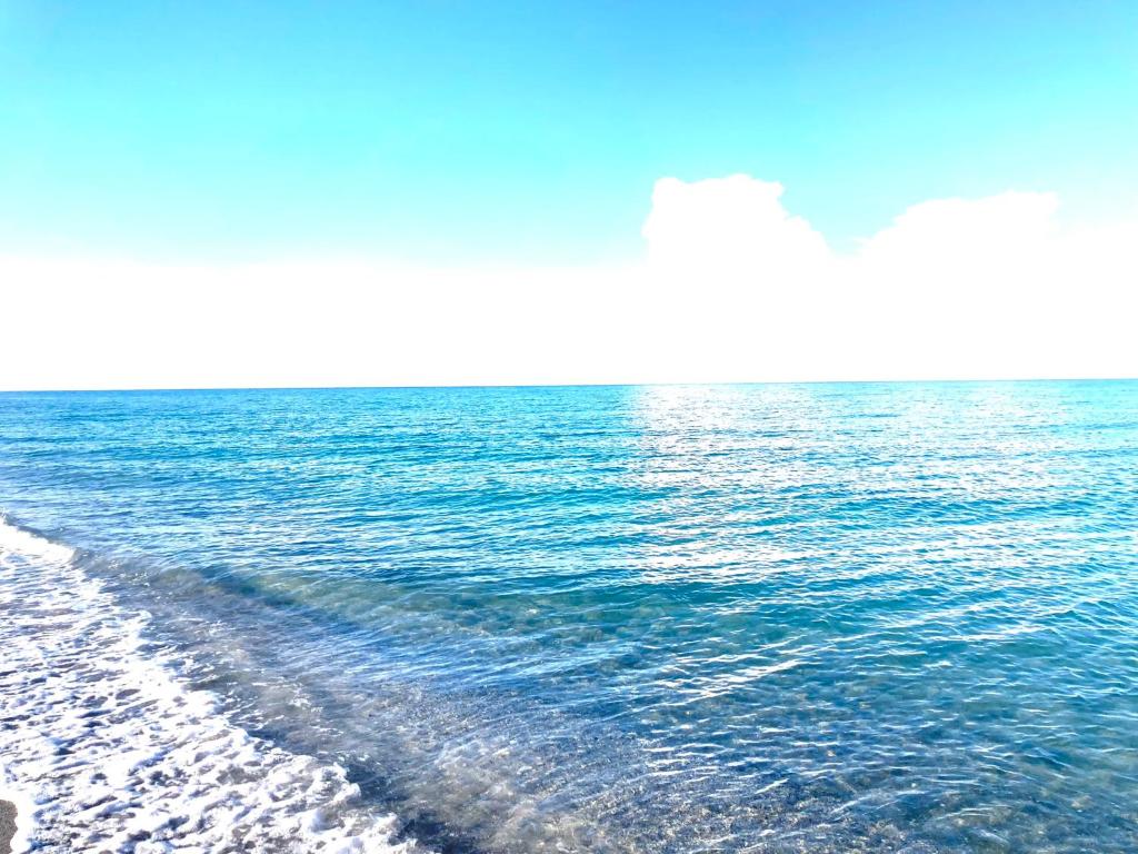 Beautiful Waterfront Home Less Than 7 mins to Beaches photo 3