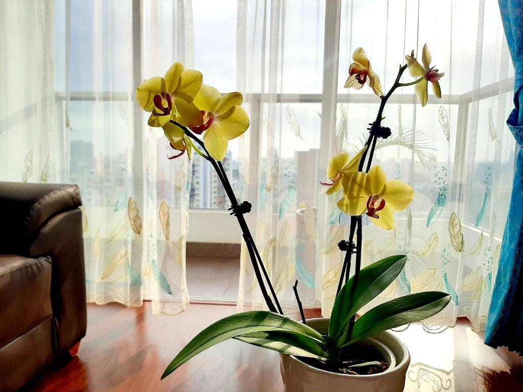 Hermoso apartamento Unidos En Familia en JESÚS MARÍA photo 4
