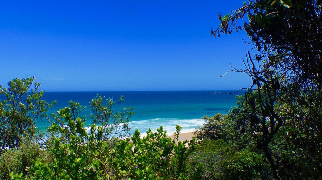 Ocean View Beachfront photo 3