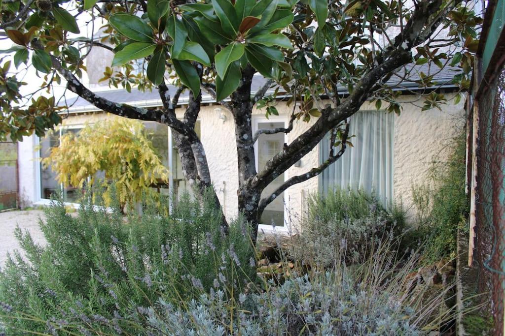 Gîte Natur'Amis photo 2