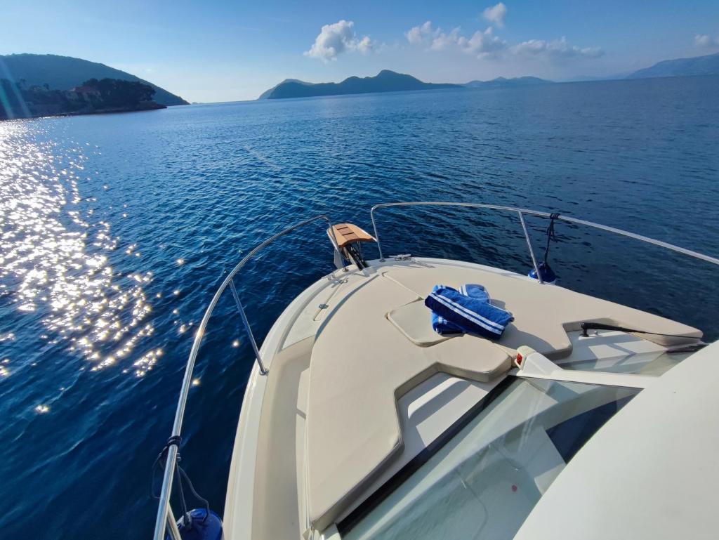 Private boat with skiper photo 3