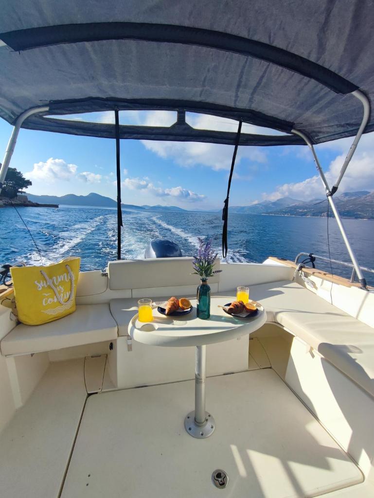 Private boat with skiper photo 1