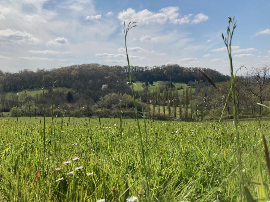 Domaine Labouroume photo 2