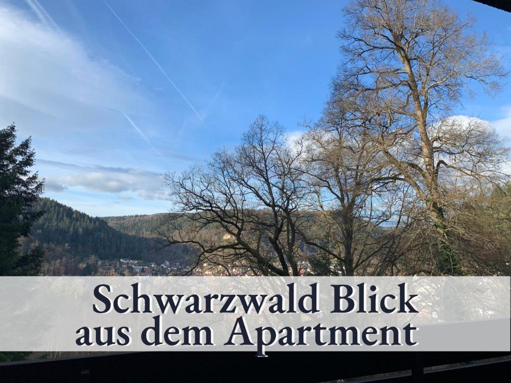 Glücks-Quartier Kaffeehof 1 photo 4