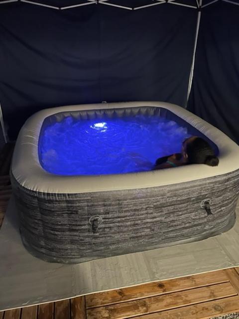Kay Sandra avec SPA à 2 mn du CHU photo 2
