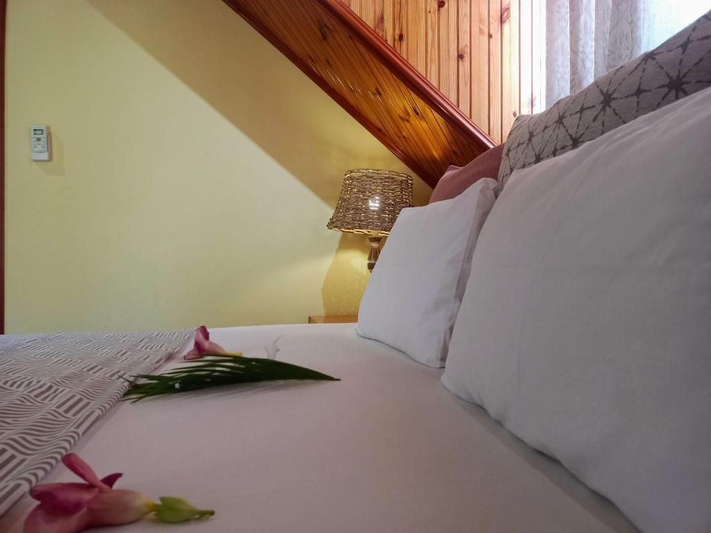Badamier Self-Catering photo 1