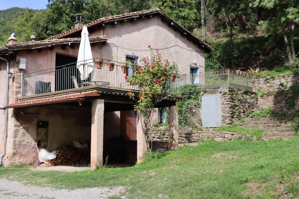 Llevant, El Molí de la Plana photo 1