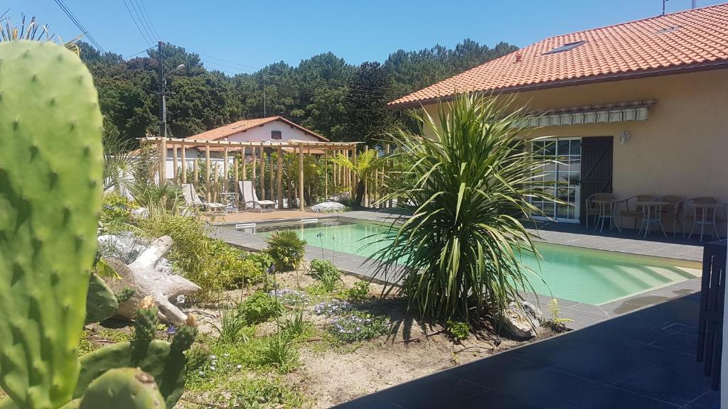 Chambre d'hôtes Labenne, meublé tourisme 1 étoile