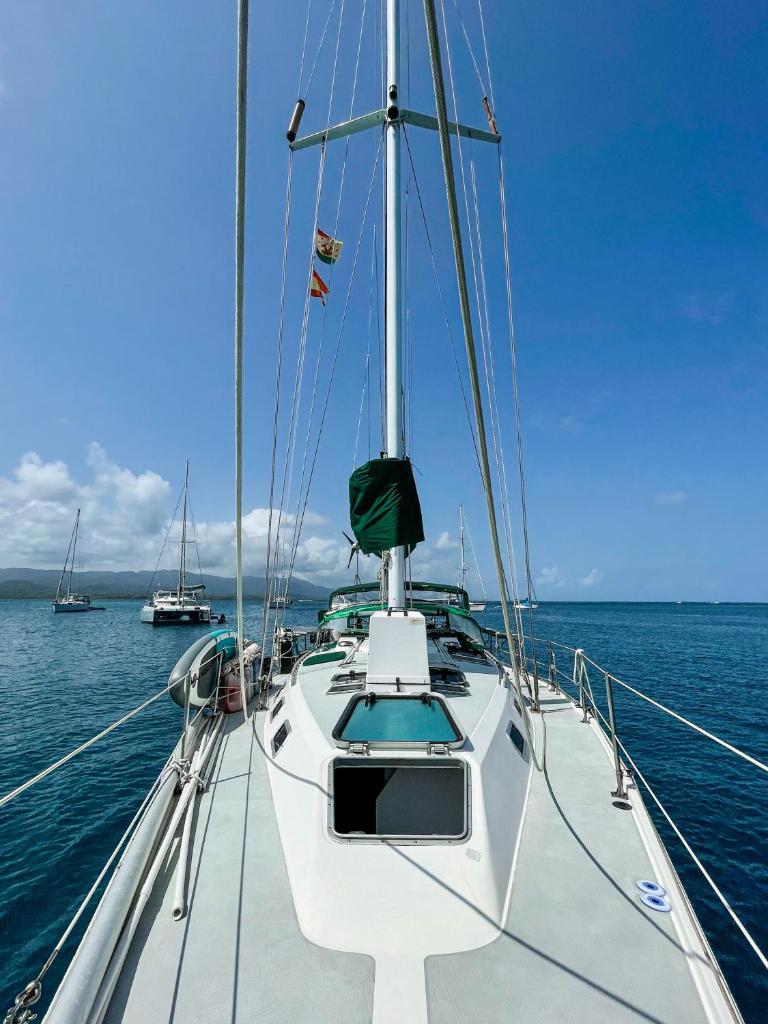 Sailboat Anemoi Sailing - Private Charter in San Blas photo 2