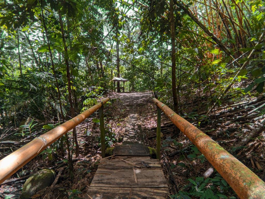 Tree Houses Hotel Costa Rica photo 3