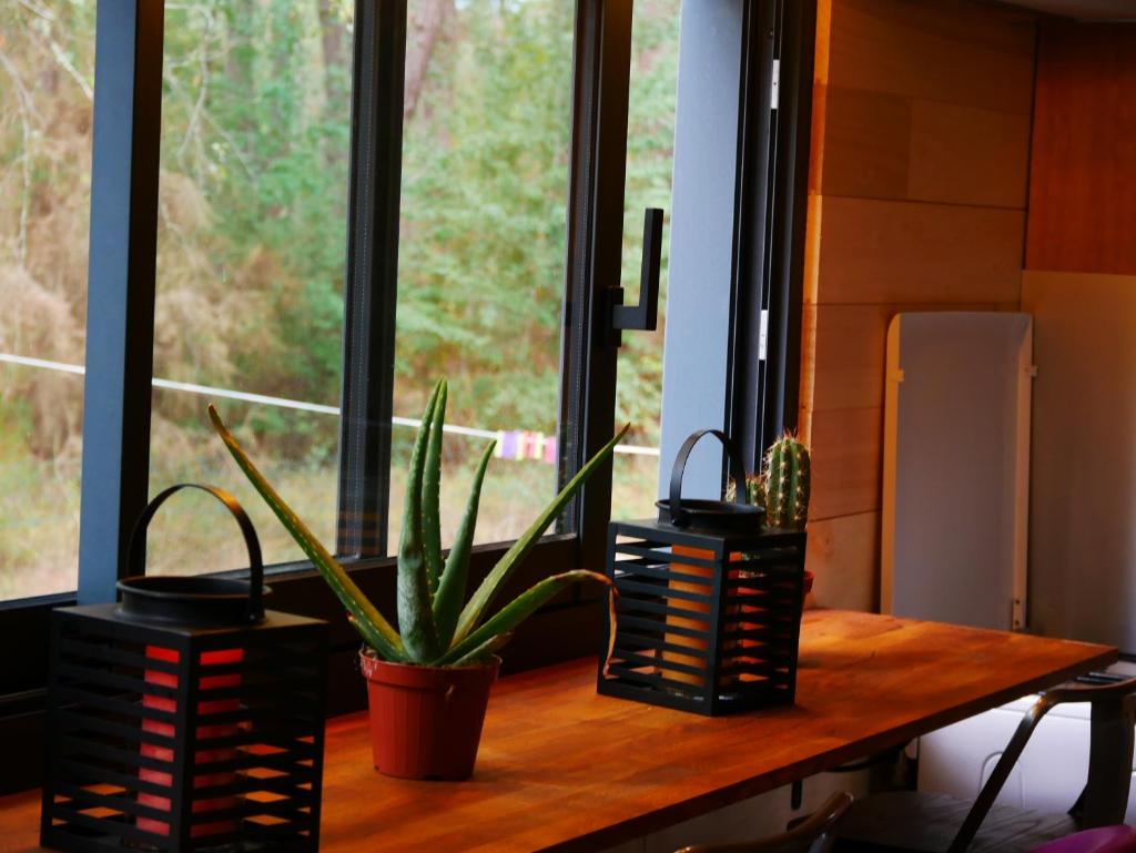 Tiny house ocean photo 4