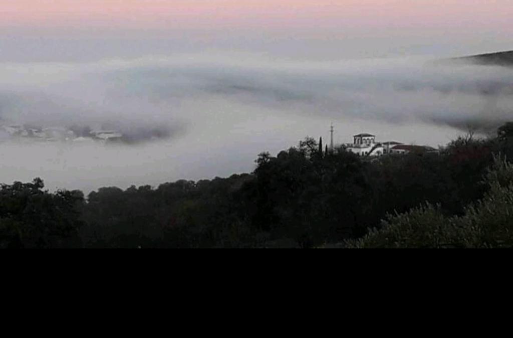 Cortijo la Umbria photo 2