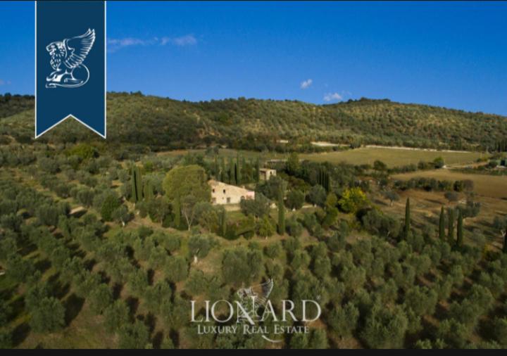 Villa Pieve Vecchia photo 3