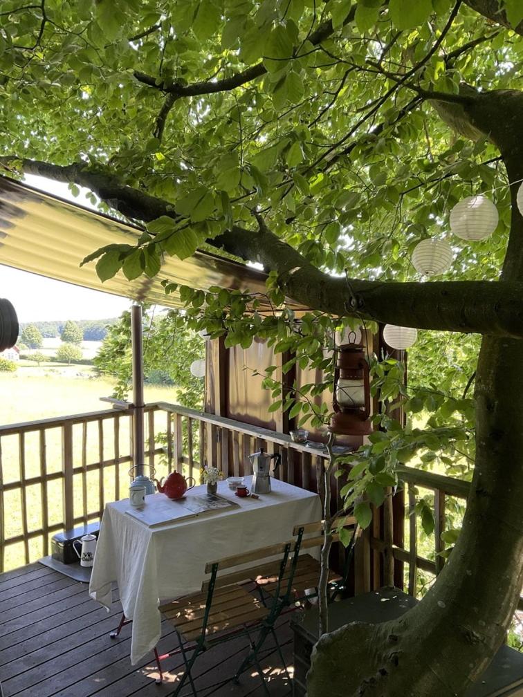 Treehouse escape photo 4