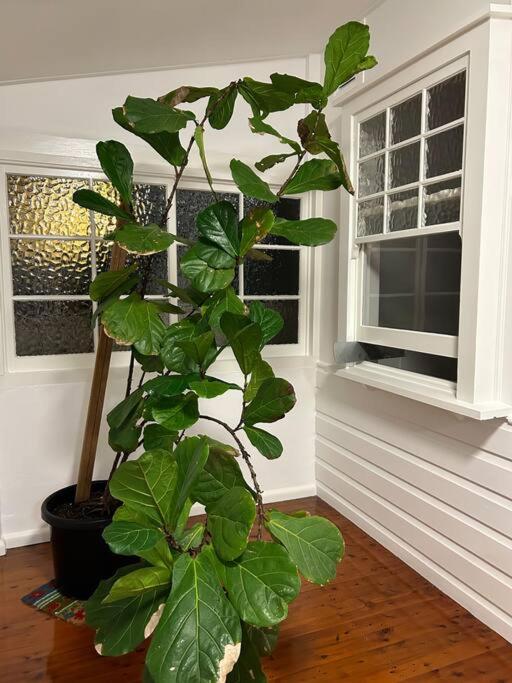 The Greenhouse photo 3