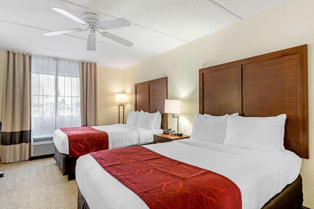 Comfort Inn Kissimmee-Lake Buena Vista South photo 4