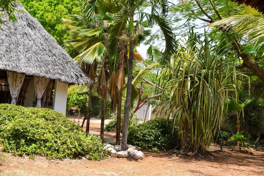 Double room in a villa photo 1