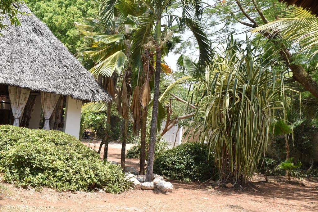Double room in a villa photo 4