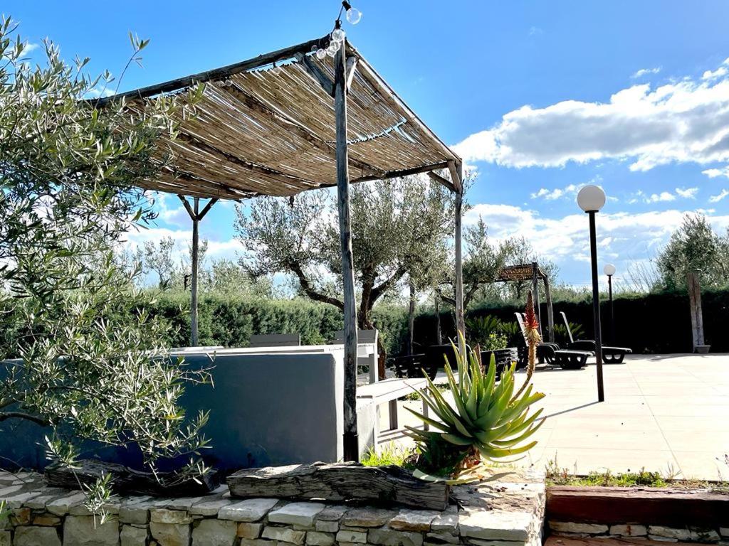 Casa vacanze - Castel del Monte photo 4