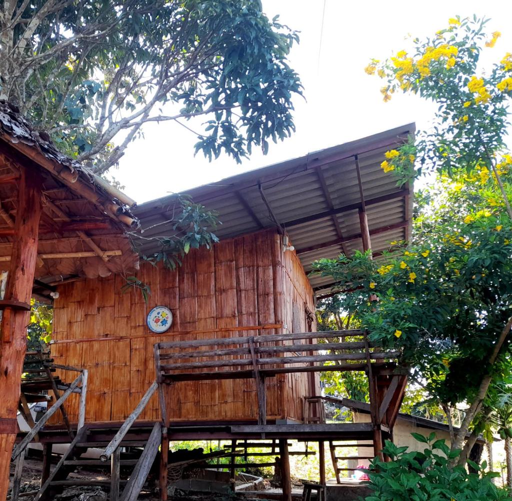 Red orchid pai Thailand photo 3