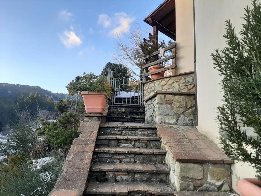 La Marzagrappola photo 2